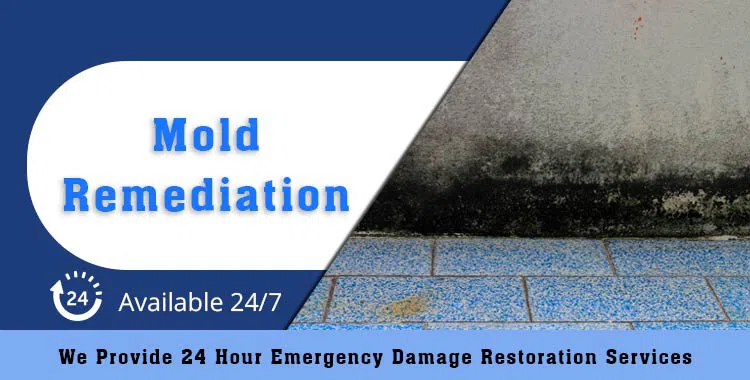 #bslide2 logo-image - Banner-02