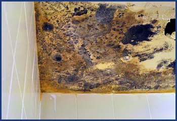 Homestead Restoration Company Homestead, FL 786-292-9740 Homestead Restoration Company Homestead, FL 786-292-9740 - cont-img-water-damage